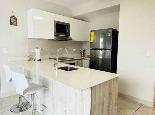 Apartamento de 1 habitación en alquiler en San José