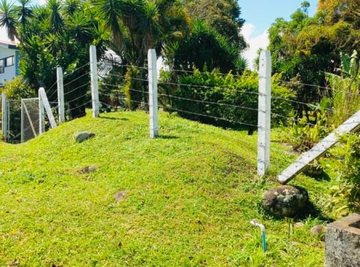 Finca en venta en Guápiles