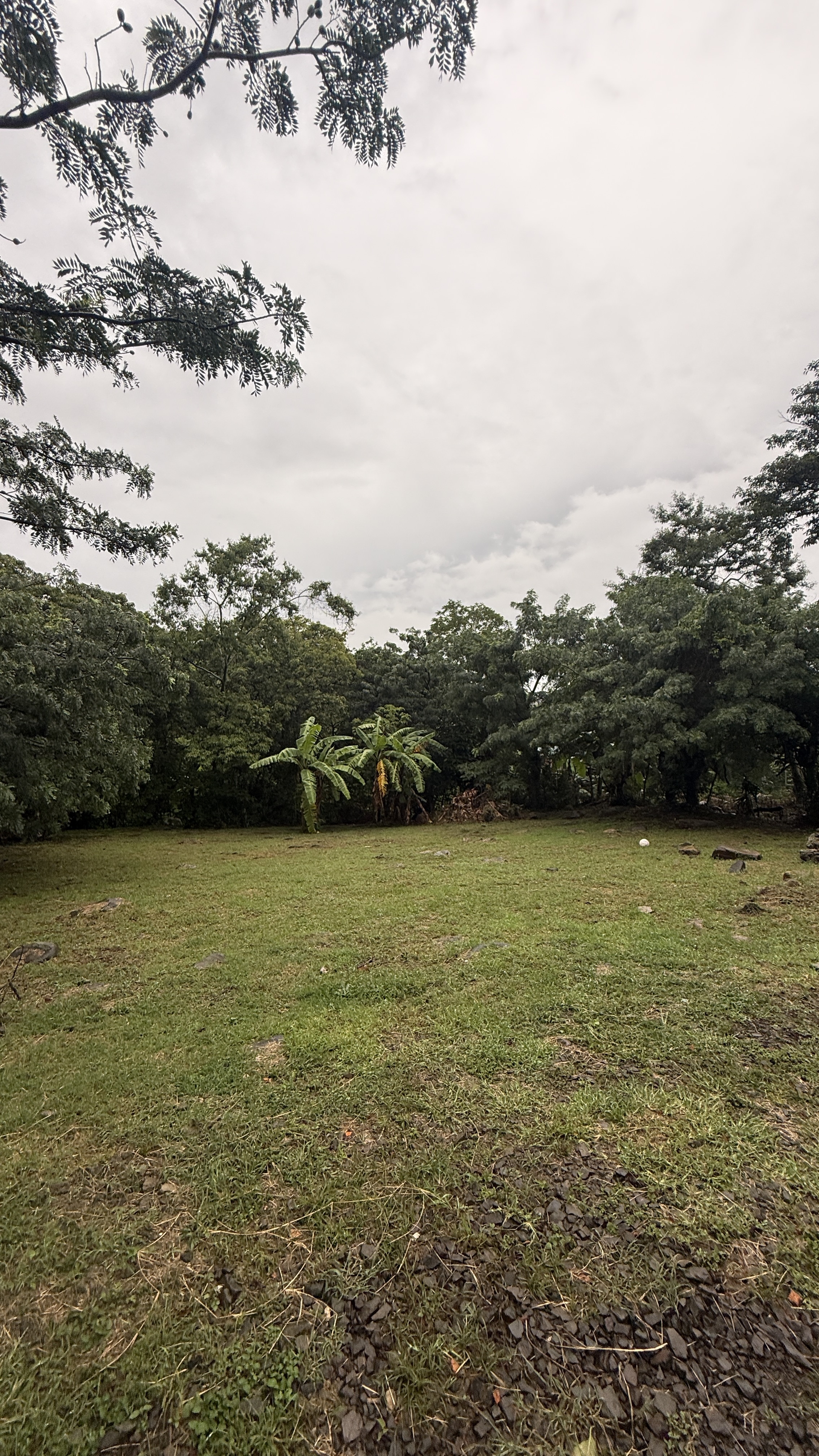 Potencial para 6 lotes: terreno en venta en San Antonio de Escazú