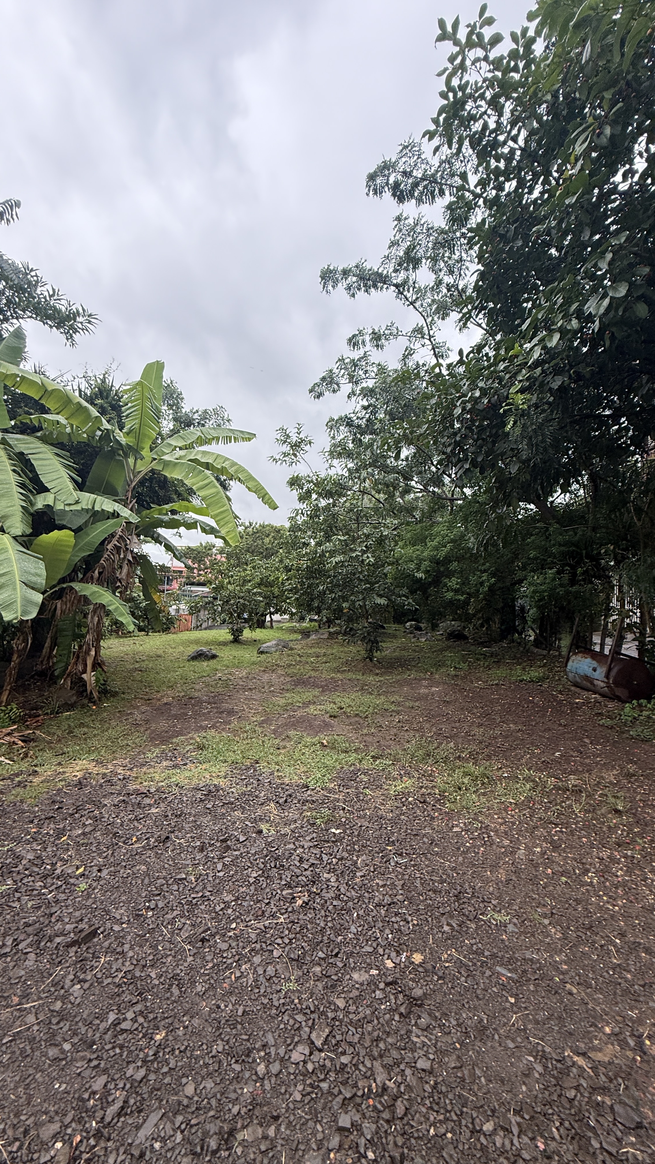 Potencial para 6 lotes: terreno en venta en San Antonio de Escazú